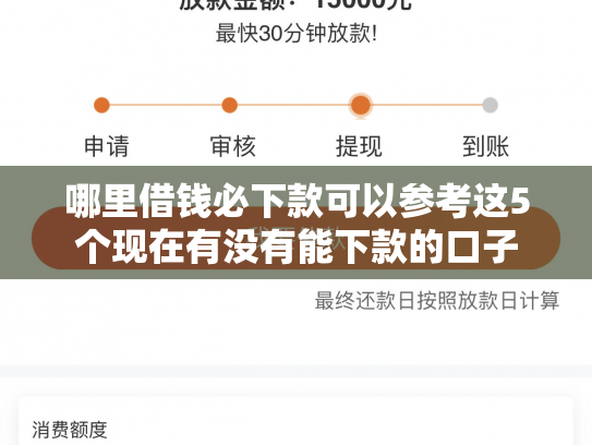 哪里借钱必下款可以参考这5个现在有没有能下款的口子