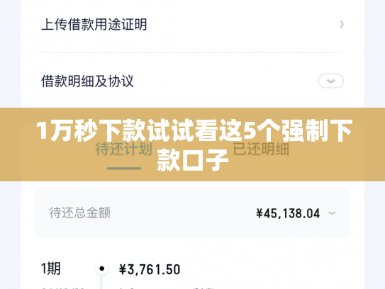 1万秒下款试试看这5个强制下款口子