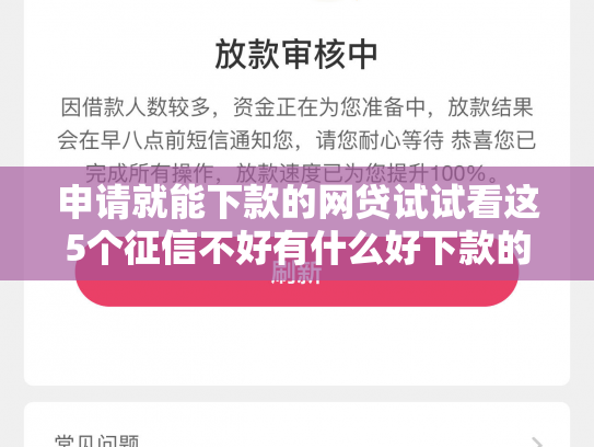 申请就能下款的网贷试试看这5个征信不好有什么好下款的口子