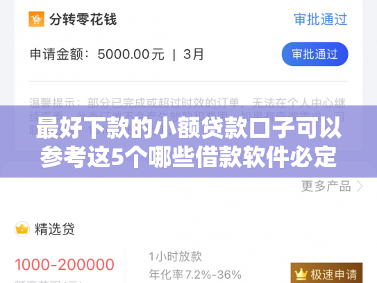 最好下款的小额贷款口子可以参考这5个哪些借款软件必定下款