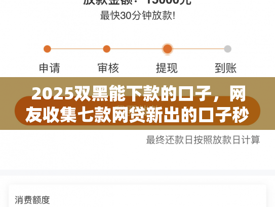 2025双黑能下款的口子，网友收集七款网贷新出的口子秒下款