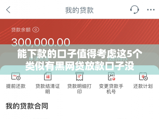 能下款的口子值得考虑这5个类似有黑网贷放款口子没