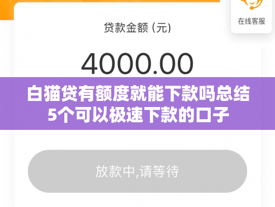 白猫贷有额度就能下款吗总结5个可以极速下款的口子