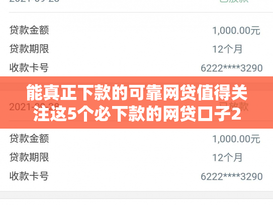 能真正下款的可靠网贷值得关注这5个必下款的网贷口子2025