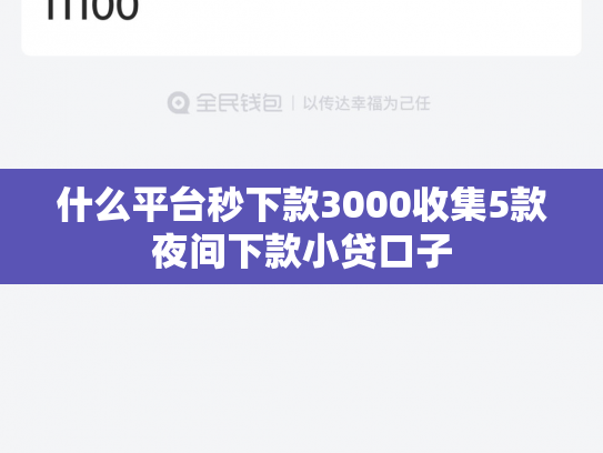 什么平台秒下款3000收集5款夜间下款小贷口子