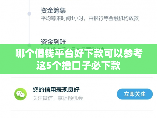 哪个借钱平台好下款可以参考这5个撸口子必下款