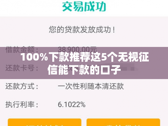 100%下款推荐这5个无视征信能下款的口子