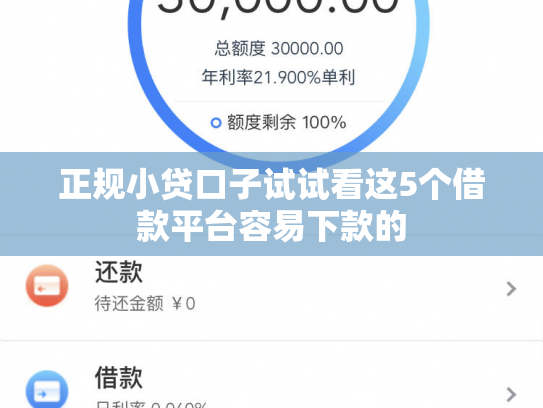 正规小贷口子试试看这5个借款平台容易下款的