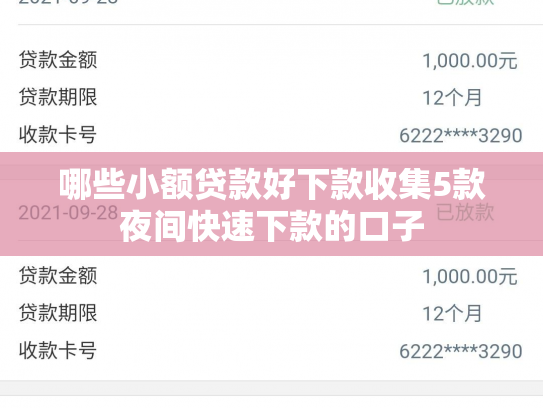 哪些小额贷款好下款收集5款夜间快速下款的口子