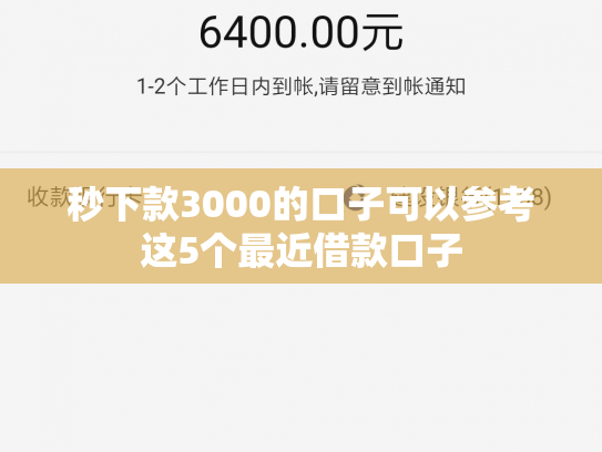 秒下款3000的口子可以参考这5个最近借款口子