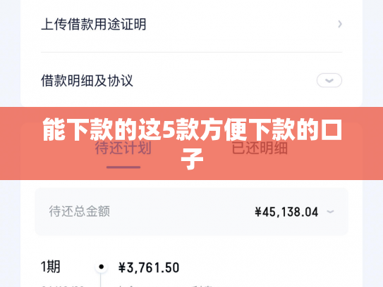 能下款的这5款方便下款的口子