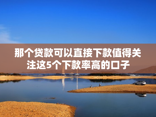 那个贷款可以直接下款值得关注这5个下款率高的口子