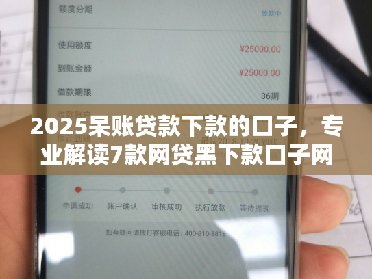 2025呆账贷款下款的口子，专业解读7款网贷黑下款口子网贷之家