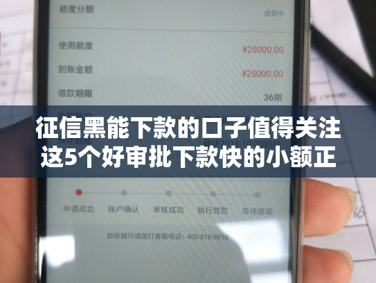 征信黑能下款的口子值得关注这5个好审批下款快的小额正规网贷