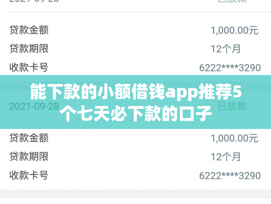 能下款的小额借钱app推荐5个七天必下款的口子