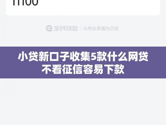 小贷新口子收集5款什么网贷不看征信容易下款