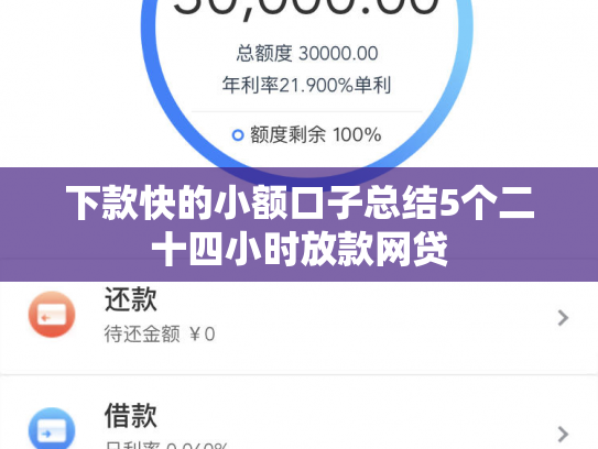 下款快的小额口子总结5个二十四小时放款网贷