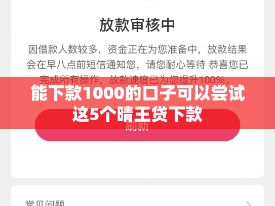 能下款1000的口子可以尝试这5个晴王贷下款