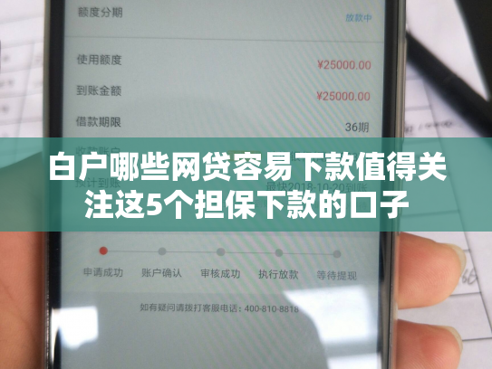 白户哪些网贷容易下款值得关注这5个担保下款的口子