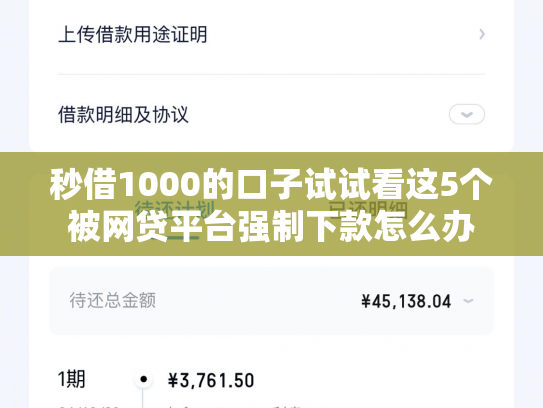 秒借1000的口子试试看这5个被网贷平台强制下款怎么办