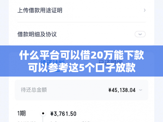 什么平台可以借20万能下款可以参考这5个口子放款