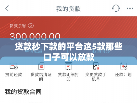 贷款秒下款的平台这5款那些口子可以放款