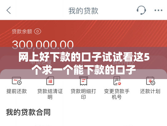 网上好下款的口子试试看这5个求一个能下款的口子