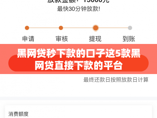 黑网贷秒下款的口子这5款黑网贷直接下款的平台