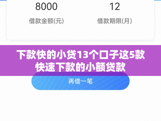 下款快的小贷13个口子这5款快速下款的小额贷款