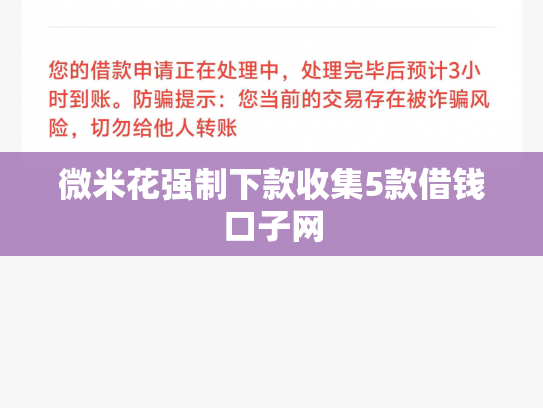 微米花强制下款收集5款借钱口子网