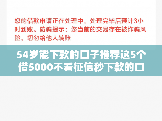 54岁能下款的口子推荐这5个借5000不看征信秒下款的口子