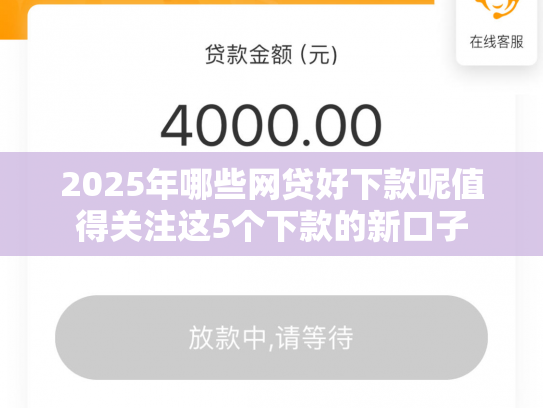 2025年哪些网贷好下款呢值得关注这5个下款的新口子
