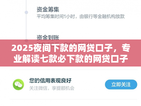2025夜间下款的网贷口子，专业解读七款必下款的网贷口子分期