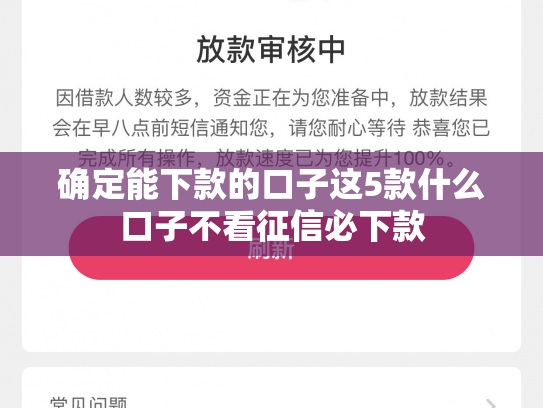 确定能下款的口子这5款什么口子不看征信必下款