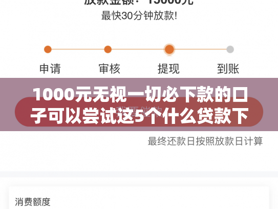 1000元无视一切必下款的口子可以尝试这5个什么贷款下款最快