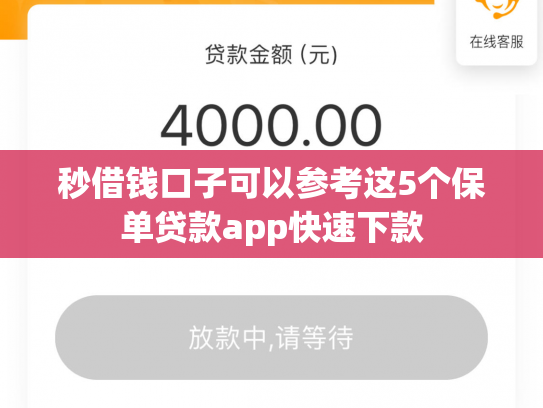 秒借钱口子可以参考这5个保单贷款app快速下款