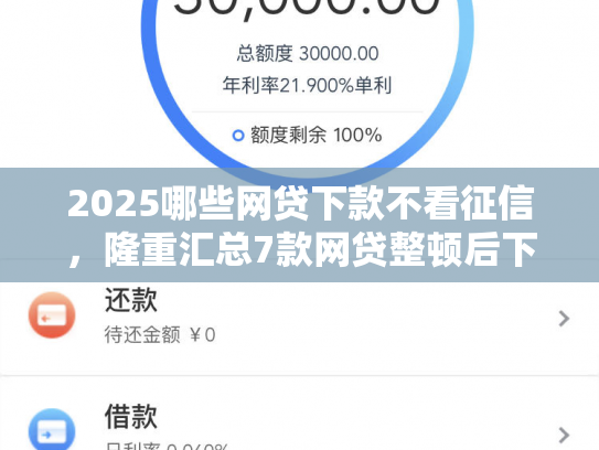 2025哪些网贷下款不看征信，隆重汇总7款网贷整顿后下款口子