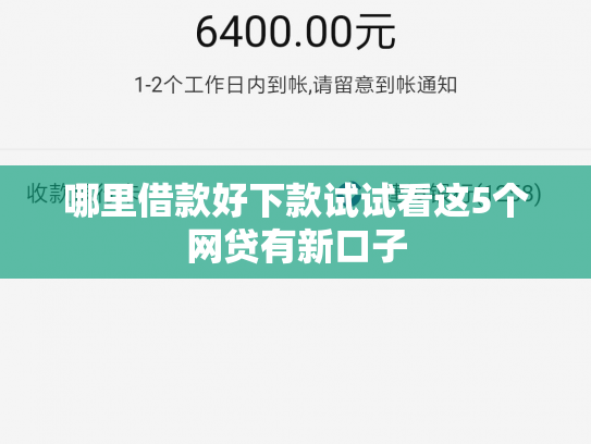 哪里借款好下款试试看这5个网贷有新口子