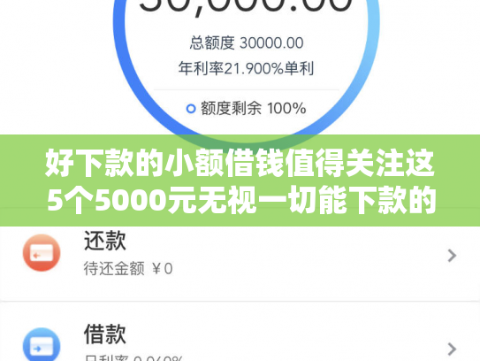 好下款的小额借钱值得关注这5个5000元无视一切能下款的口子