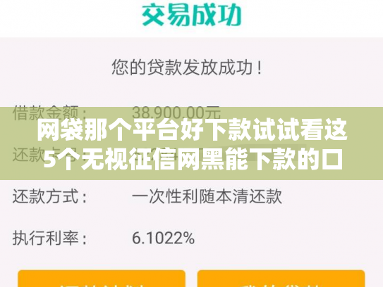 网袋那个平台好下款试试看这5个无视征信网黑能下款的口子