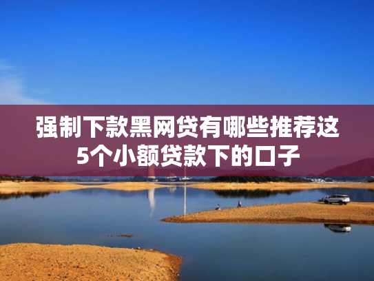 强制下款黑网贷有哪些推荐这5个小额贷款下的口子