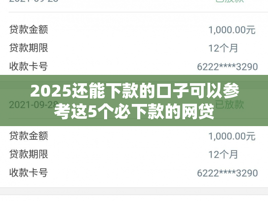 2025还能下款的口子可以参考这5个必下款的网贷