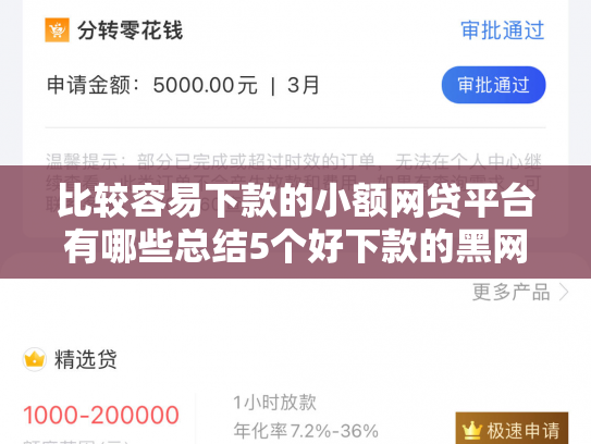比较容易下款的小额网贷平台有哪些总结5个好下款的黑网贷口子