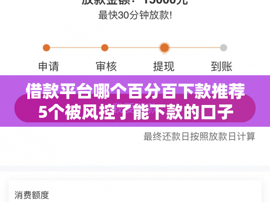 借款平台哪个百分百下款推荐5个被风控了能下款的口子