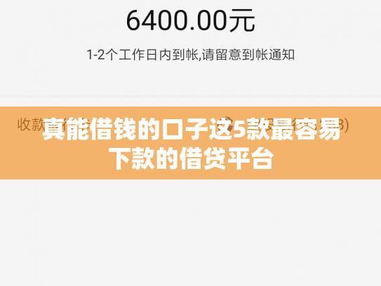 真能借钱的口子这5款最容易下款的借贷平台