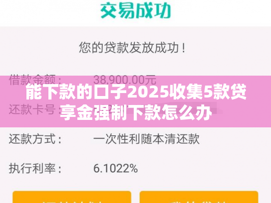 能下款的口子2025收集5款贷享金强制下款怎么办